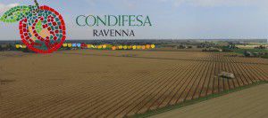 Condifesa Ravenna - Prima Rata 2015