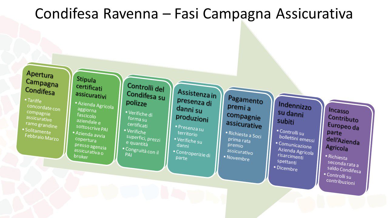 Presentazione Condifesa Ravenna Fasi Campagna